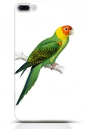 Parrot iPhone 8 case Style 11
