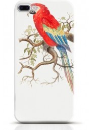 Parrot iPhone 8 case Style 13