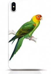 Parrot iPhone X case Style 11