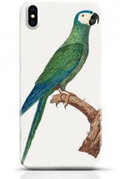 Parrot iPhone X case Style 12