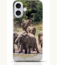 Elephant iPhone 16 case Style 16