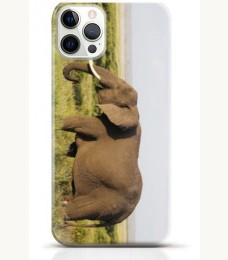 Elephant iPhone 16 Pro Max case Style 15