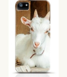 Goat iPhone case Style 14