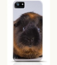Hamster iPhone case Style 12