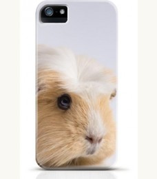 Hamster iPhone case Style 16
