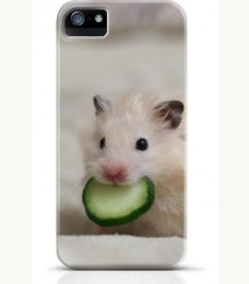 Hamster iPhone case Style 7