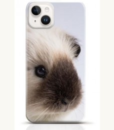 Hamster iPhone 13 mini case Style 15