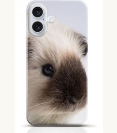 Hamster iPhone 16 case Style 11
