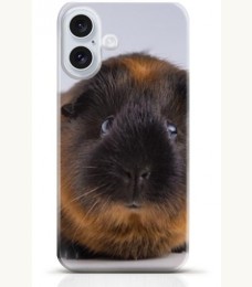 Hamster iPhone 16 case Style 12