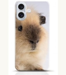 Hamster iPhone 16 case Style 13