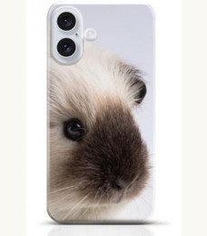 Hamster iPhone 16 case Style 15