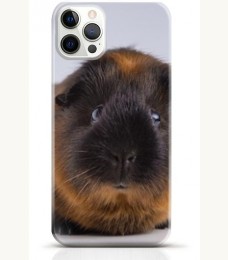 Hamster iPhone 16 Pro Max case Style 12