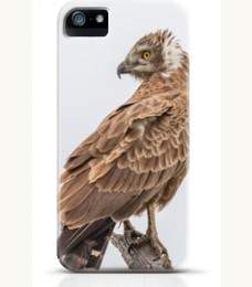 Hawk iPhone case Style 12