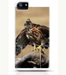 Hawk iPhone case Style 13