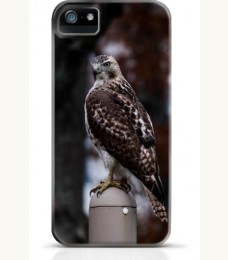 Hawk iPhone case Style 14