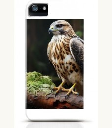Hawk iPhone case Style 21