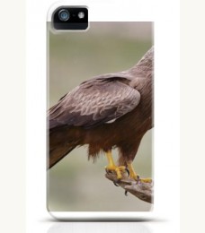 Hawk iPhone case Style 24