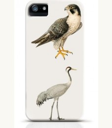 Hawk iPhone case Style 25