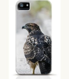 Hawk iPhone case Style 9