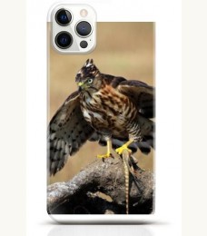Hawk iPhone 12 Pro max case Style 13