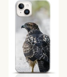 Hawk iPhone 13 case Style 9