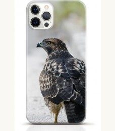 Hawk iPhone 15 Pro Max case Style 9