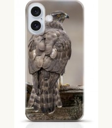 Hawk iPhone 16 Plus case Style 10