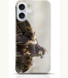 Hawk iPhone 16 Plus case Style 11