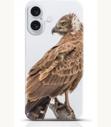 Hawk iPhone 16 Plus case Style 12