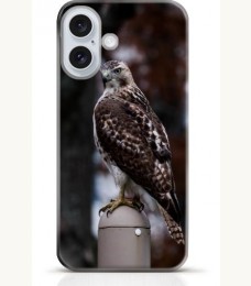 Hawk iPhone 16 Plus case Style 14