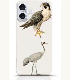 Hawk iPhone 16 Plus case Style 25