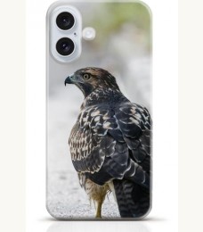 Hawk iPhone 16 Plus case Style 9