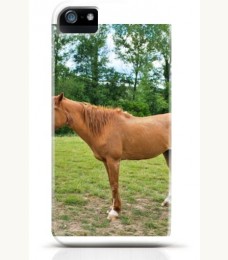 Horse iPhone case Style 5