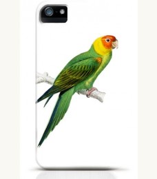 Parrot iPhone case Style 11