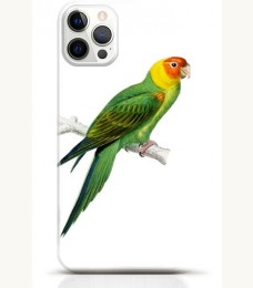 Parrot iPhone 13 Pro Max case Style 11