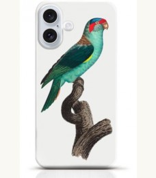 Parrot iPhone 16 Plus case Style 10