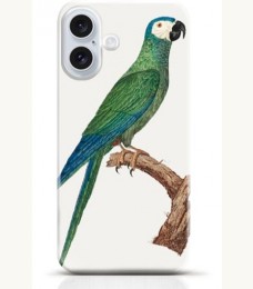 Parrot iPhone 16 Plus case Style 12