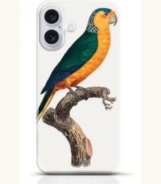 Parrot iPhone 16 Plus case Style 18