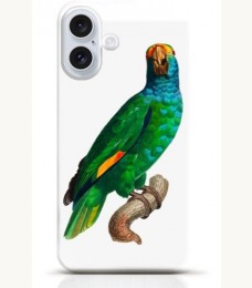 Parrot iPhone 16 Plus case Style 5