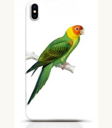 Parrot iPhone X case Style 11