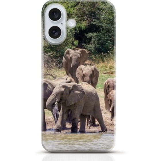 Elephant iPhone 16 Plus case Style 16