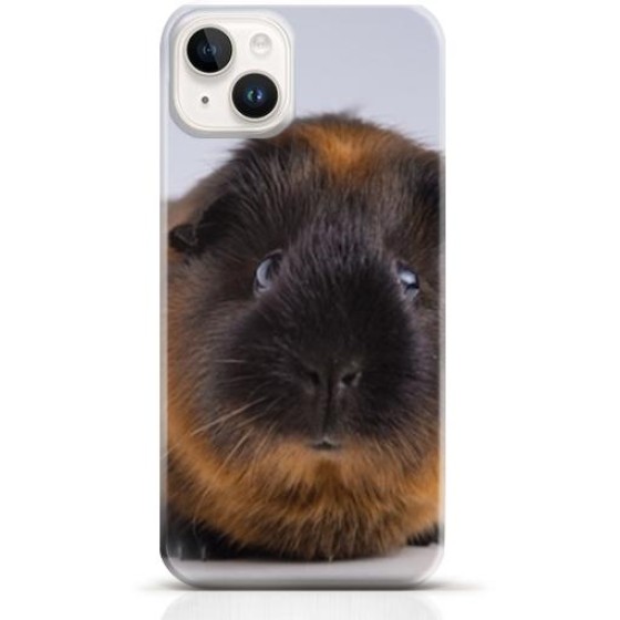 Hamster iPhone 13 case Style 12