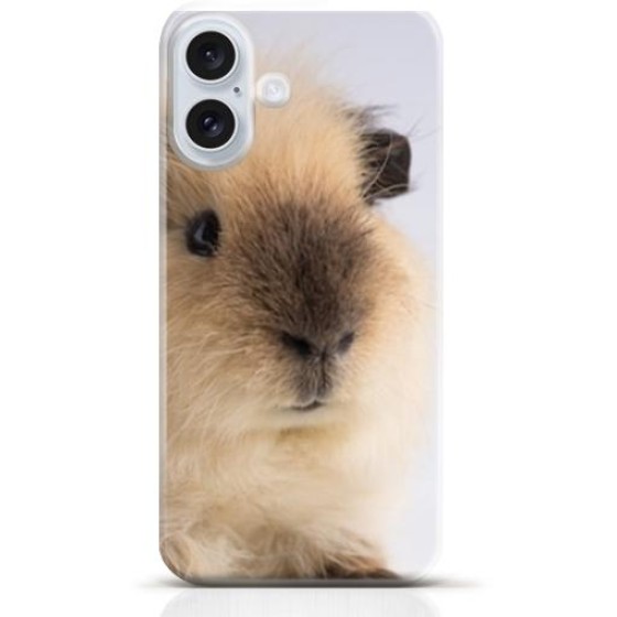 Hamster iPhone 16 case Style 13