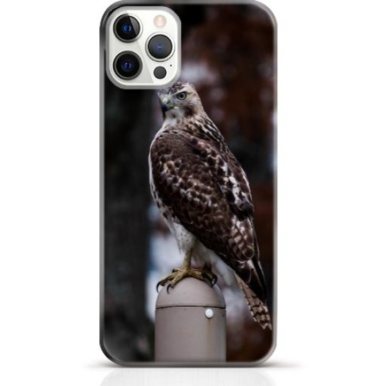 Hawk iPhone 15 Pro case Style 14