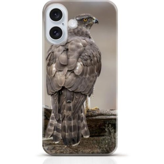 Hawk iPhone 16 case Style 10