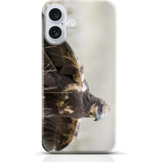 Hawk iPhone 16 Plus case Style 11