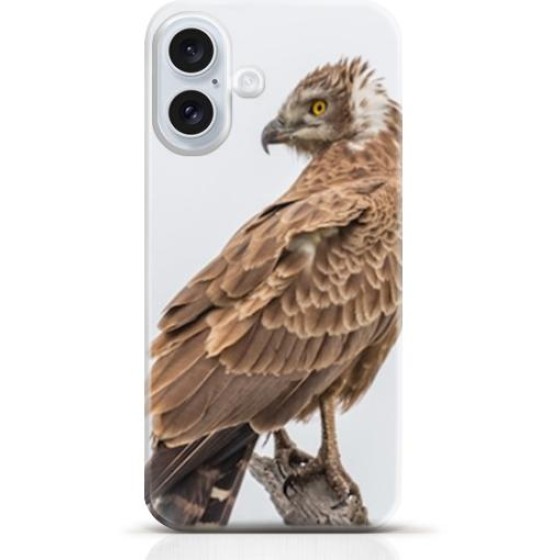 Hawk iPhone 16 Plus case Style 12