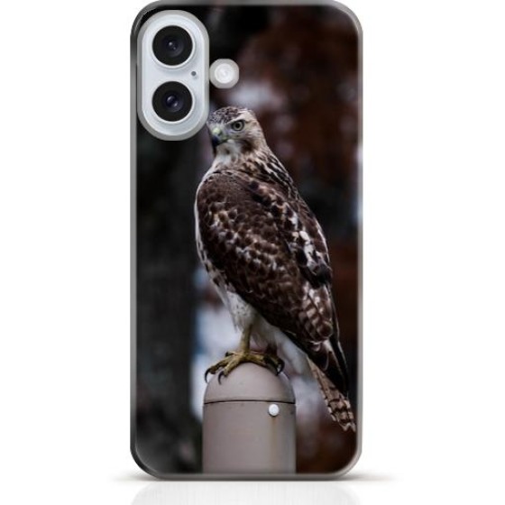 Hawk iPhone 16 Plus case Style 14