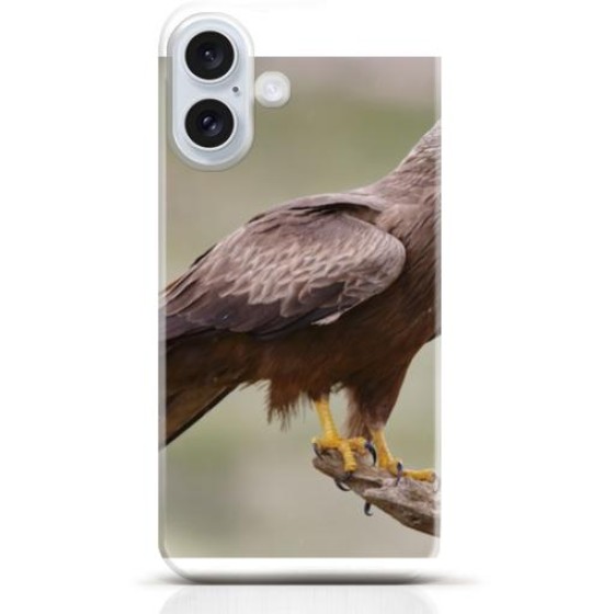 Hawk iPhone 16 Plus case Style 24