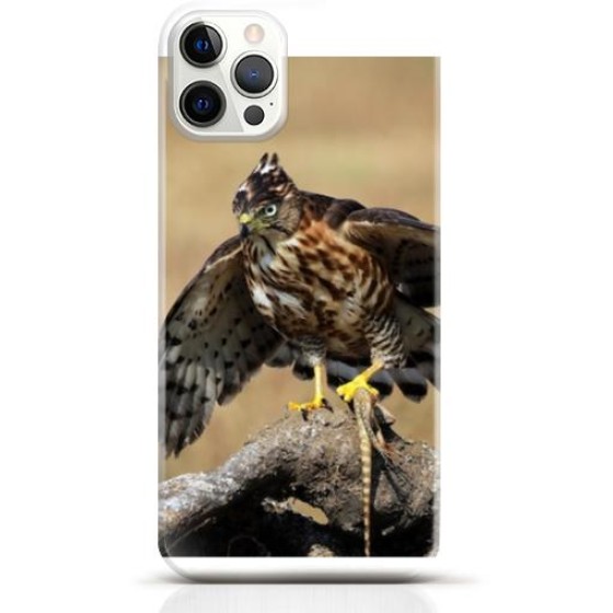 Hawk iPhone 16 Pro case Style 13